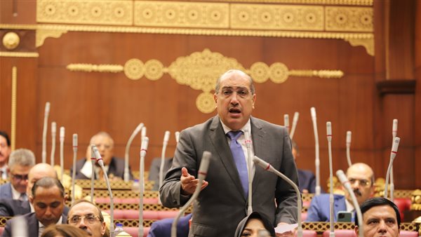 النائب إيهاب وهبة،