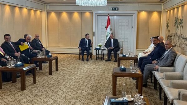 جانب من المشاركة