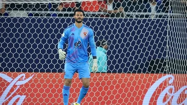 محمد الشناوي