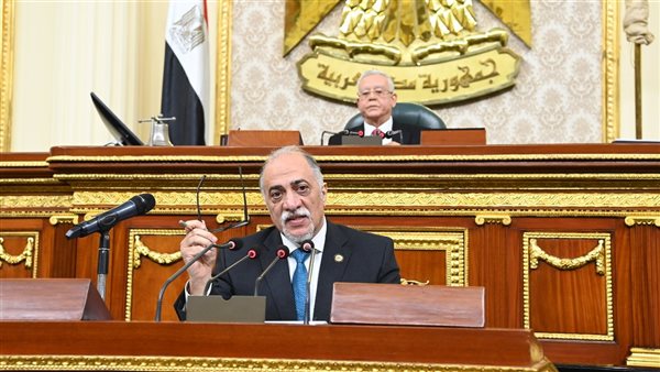 مجلس النواب 