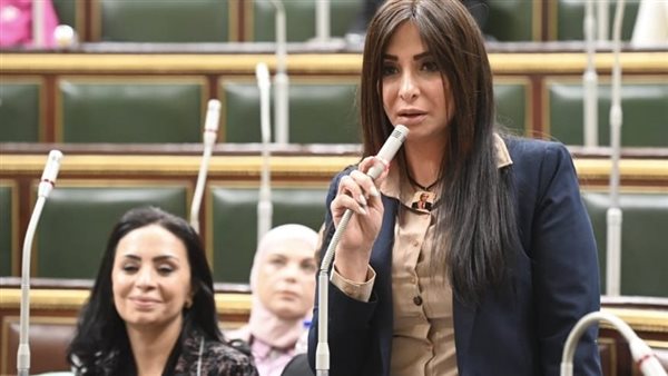 المستشارة مروة بركات