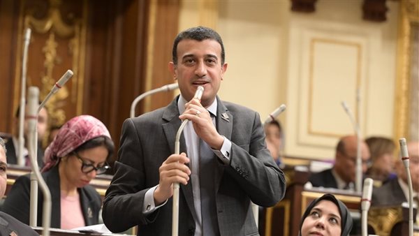 نائب التنسيقية طارق