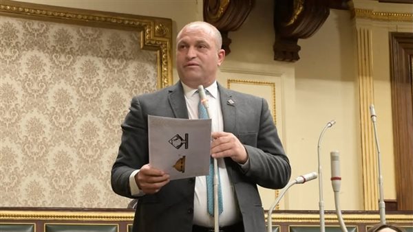 النائب أحمد رمزي