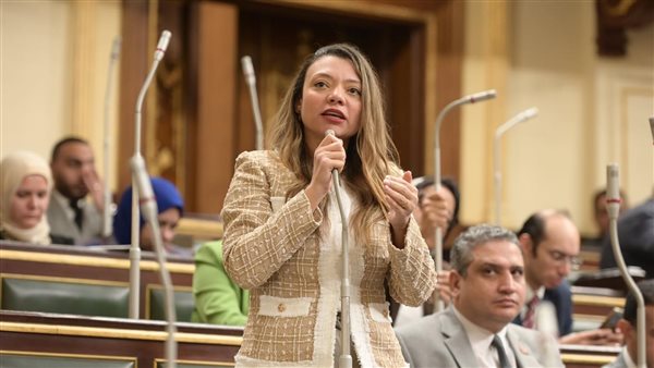 النائبة مي كرم، عضو