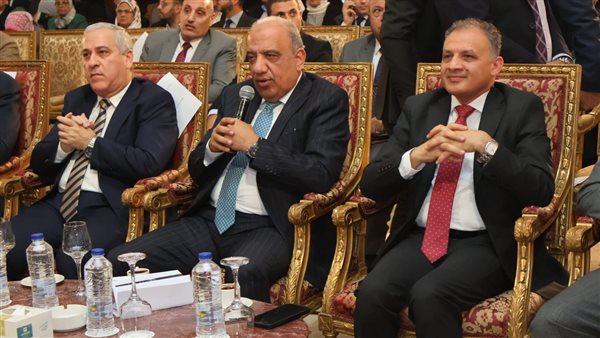 وزير الكهرباء 