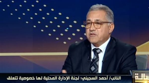 النائب أحمد السجيني