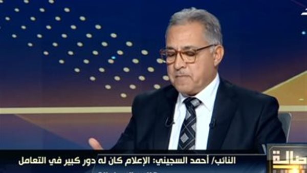 النائب أحمد السجيني