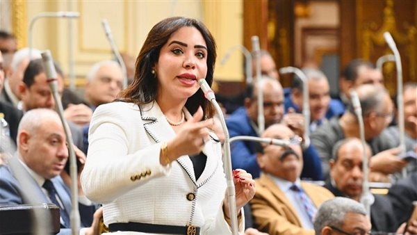 نائبة التنسيقية غادة