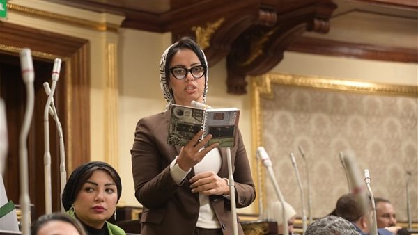 نائبة التنسيقية رشا