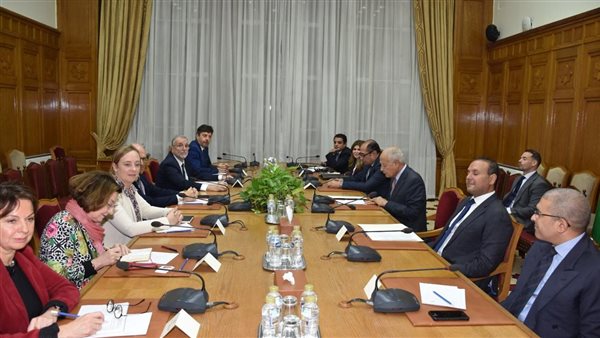 أبو الغيط  يستقبل