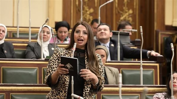 النائبة نشوي الشريف،