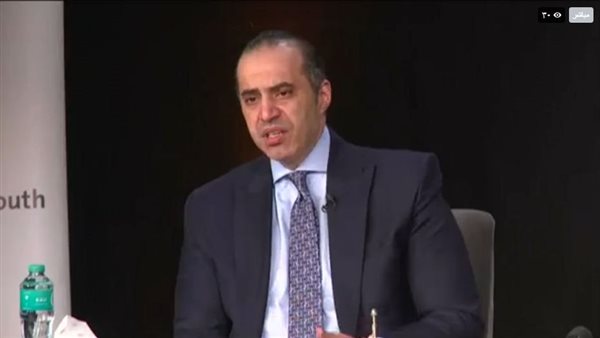 الوزير محمود فوزي