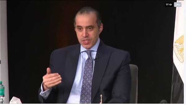 الوزير محمود فوزي