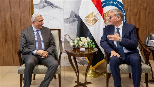 وزير البترول والمستشار