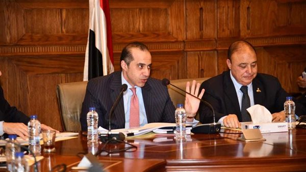 المستشار محمود فوزي