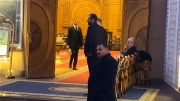 نبيل الحلفاوي 