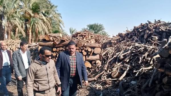 إزالة مكامير الفحم