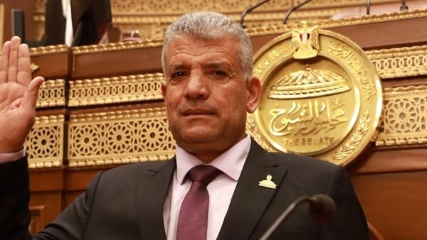 النائب  أحمد شراني