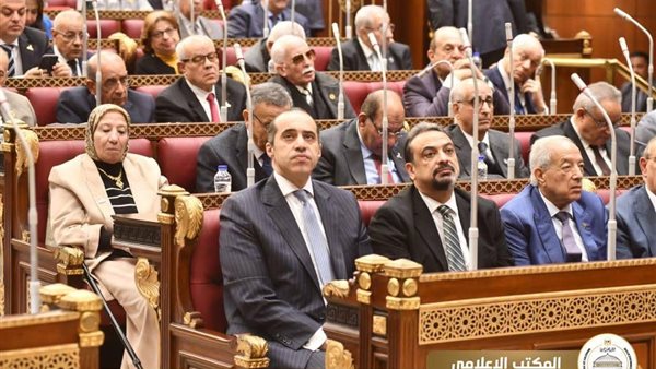  المستشار محمود فوزي