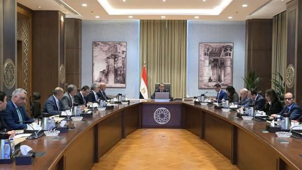 رئيس الوزراء 