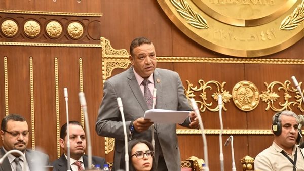 النائب محمد عزمي