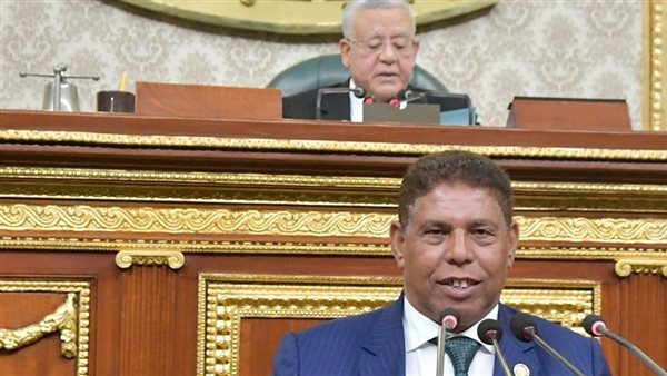 النائب سيد عوض عضو