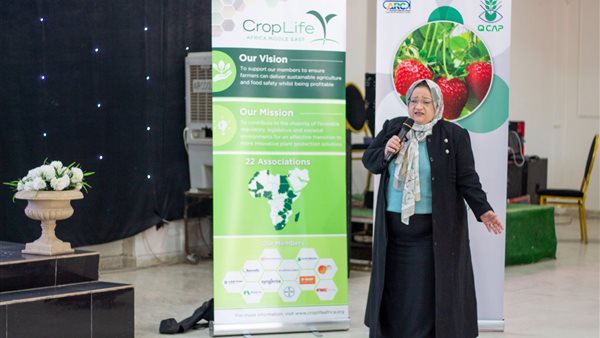 جانب من ورشة العمل