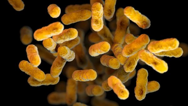 السعال الديكي 