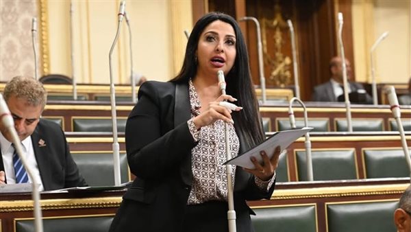 النائبة نشوي الشريف،