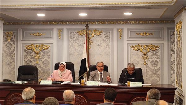 محلية النواب 