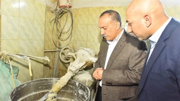 محافظ أسيوط في أحد