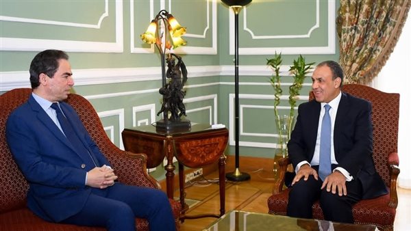 بدر عبد العاطي -