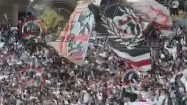 تصوير: أحمد صابر