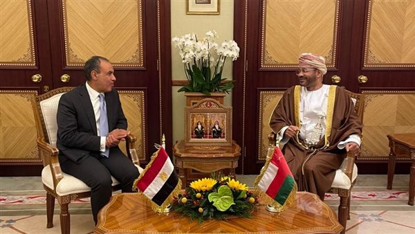 وزيرا خارجية مصر