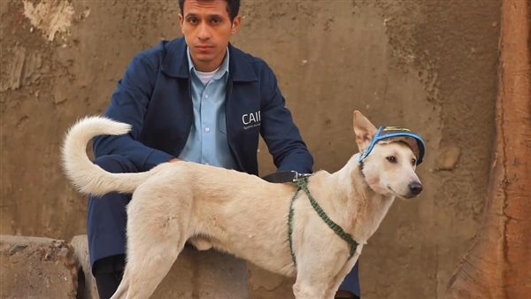 فيلم البحث عن منفذ