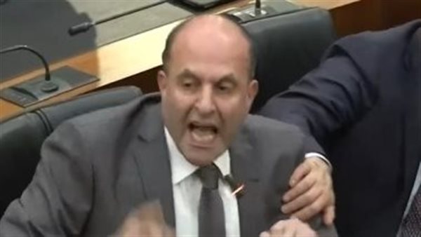 النائب سليم عون