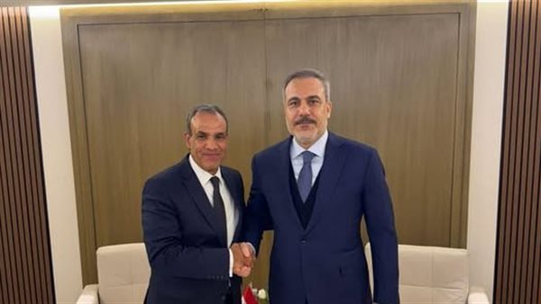 وزير الخارجية ونظيره