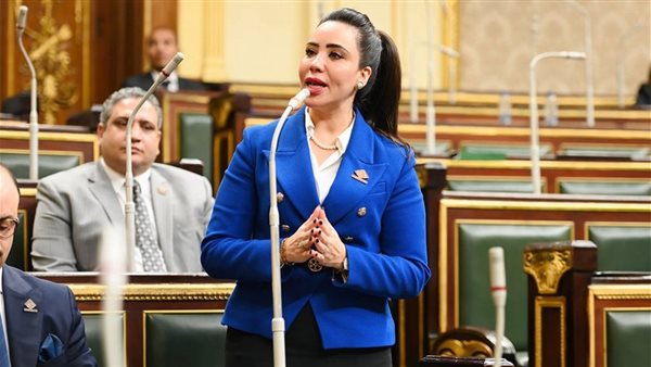 النائبة غادة علي،