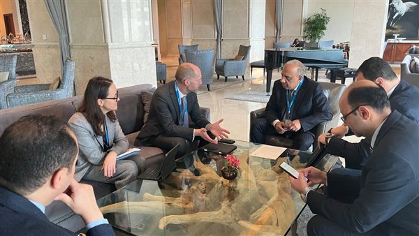 وزير الكهرباء 