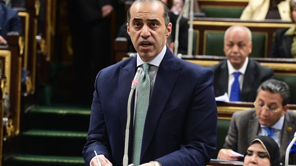 المستشار محمود فوزي،