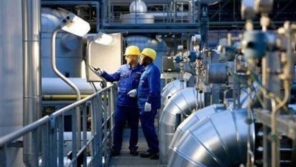 الصناعات المحلية