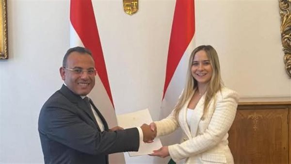 السفير أحمد فهمي