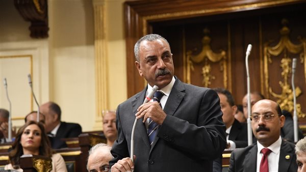 النائب إيهاب الطماوي