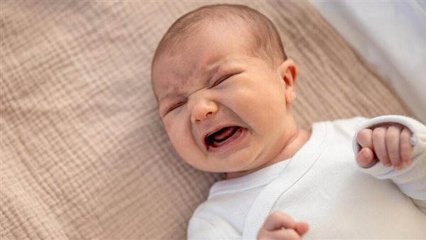 الطفل الرضيع 