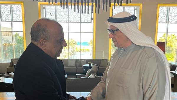 وزير الكهرباء 