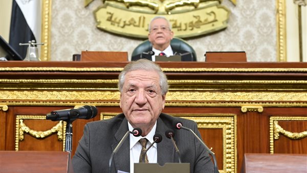 النائب فخري الفقي