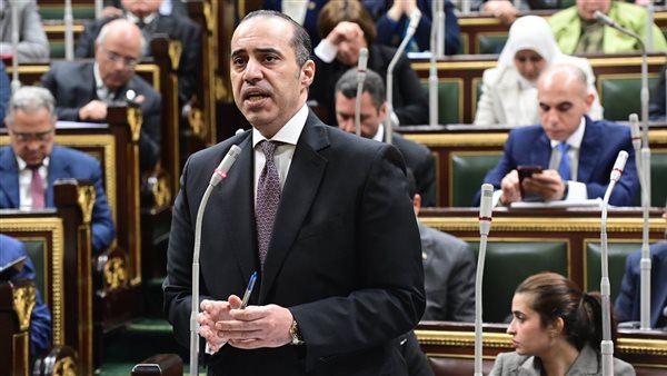 المستشار محمود فوزي