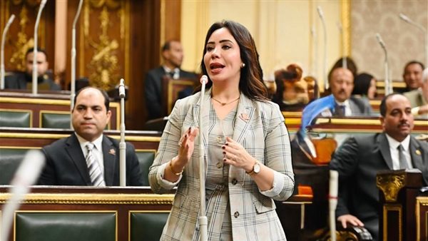 النائبة غادة علي،