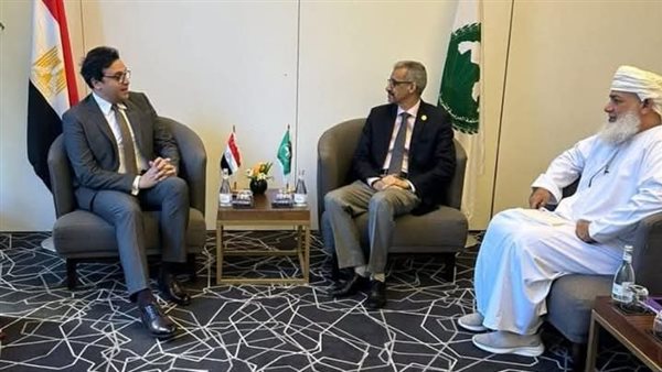 وزير الثقافة 