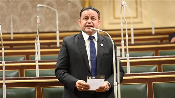 النائب شحاته أبو